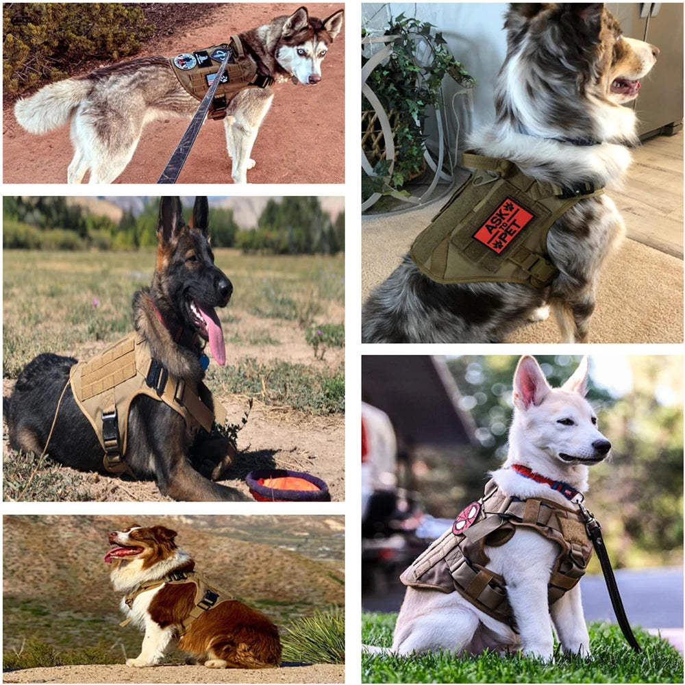 Military Large Dog Harness Pet German Shepherd Malinois Training Vest Tactical Medium Dog Harnesses Hunting For Dogs Accessories
